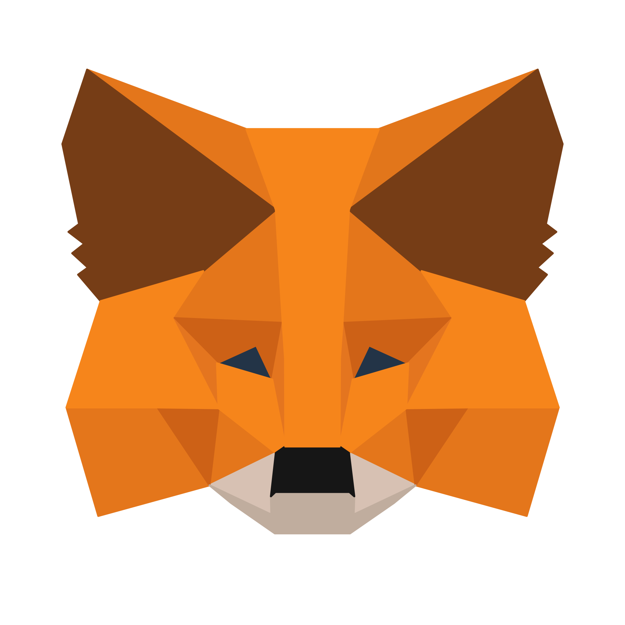 MetaMask Chrome Extension